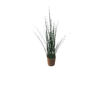 Plant 2